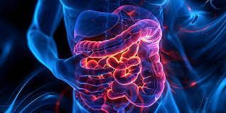 Gastroparesis is a complex gastrointestinal disorder that requires specialized care and treatment. 