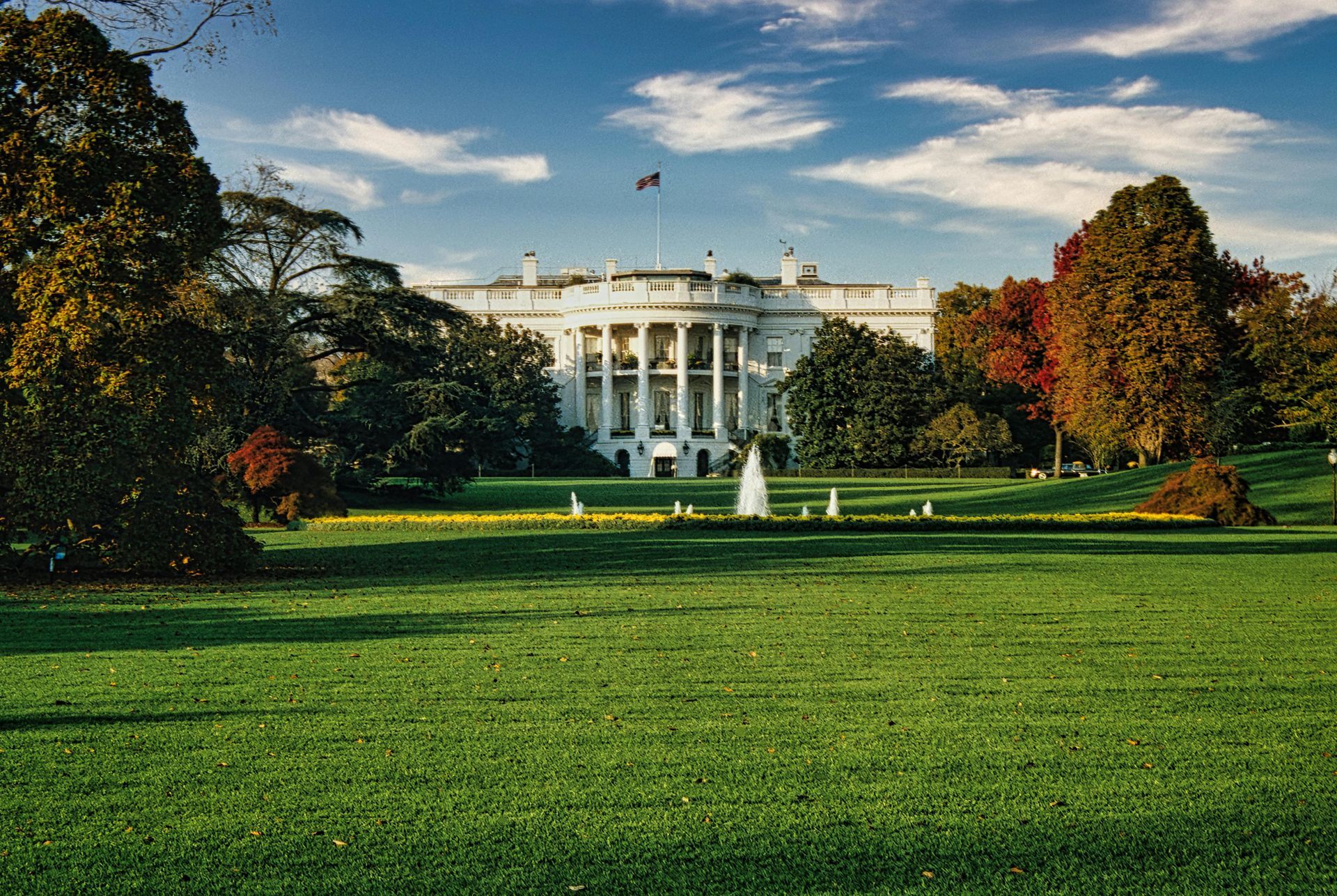 Monthly market report: June 2025