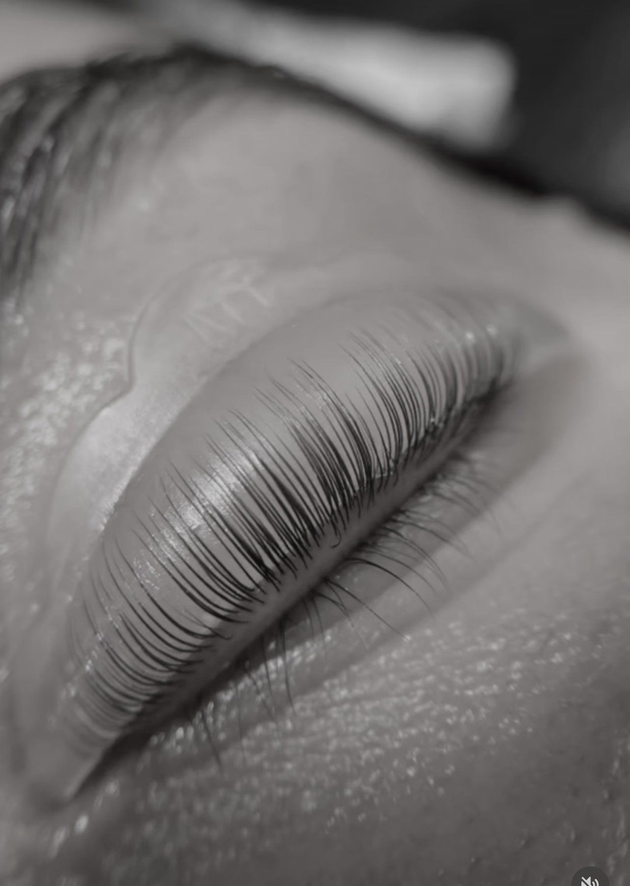 lash lift sydney
