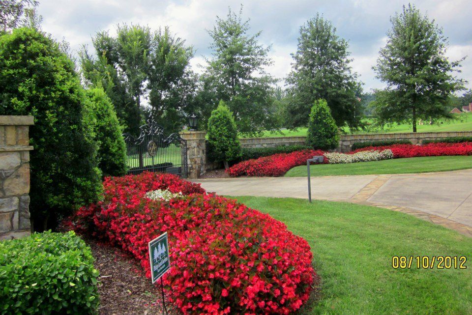 Red Flowers in Garden — Unicoi, TN — Ridge Land Gardens