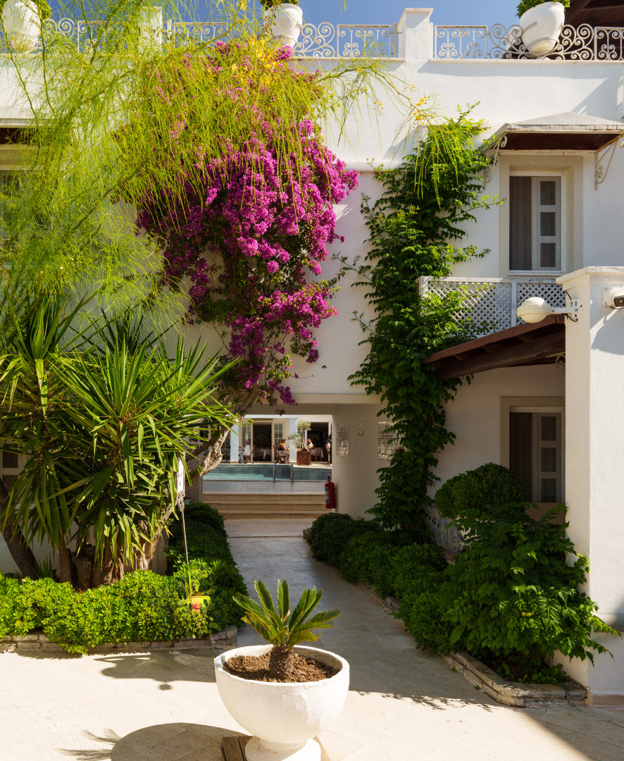 Manzara Boutique Hotel | White house courtyard with lush green vines, pink bougainvillea, and a potted plant by the walkway
