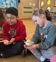 Kids holding chicks at All About Kidz N20 Club