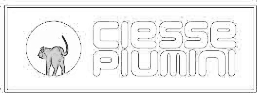 CIESSE PIUMINI logo