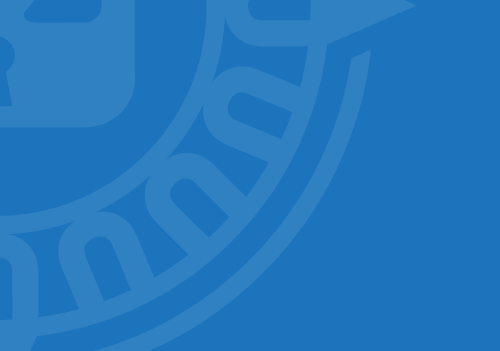 brand pattern crop v2
