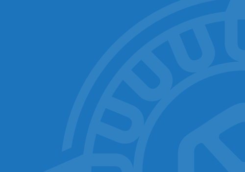 brand pattern crop v1