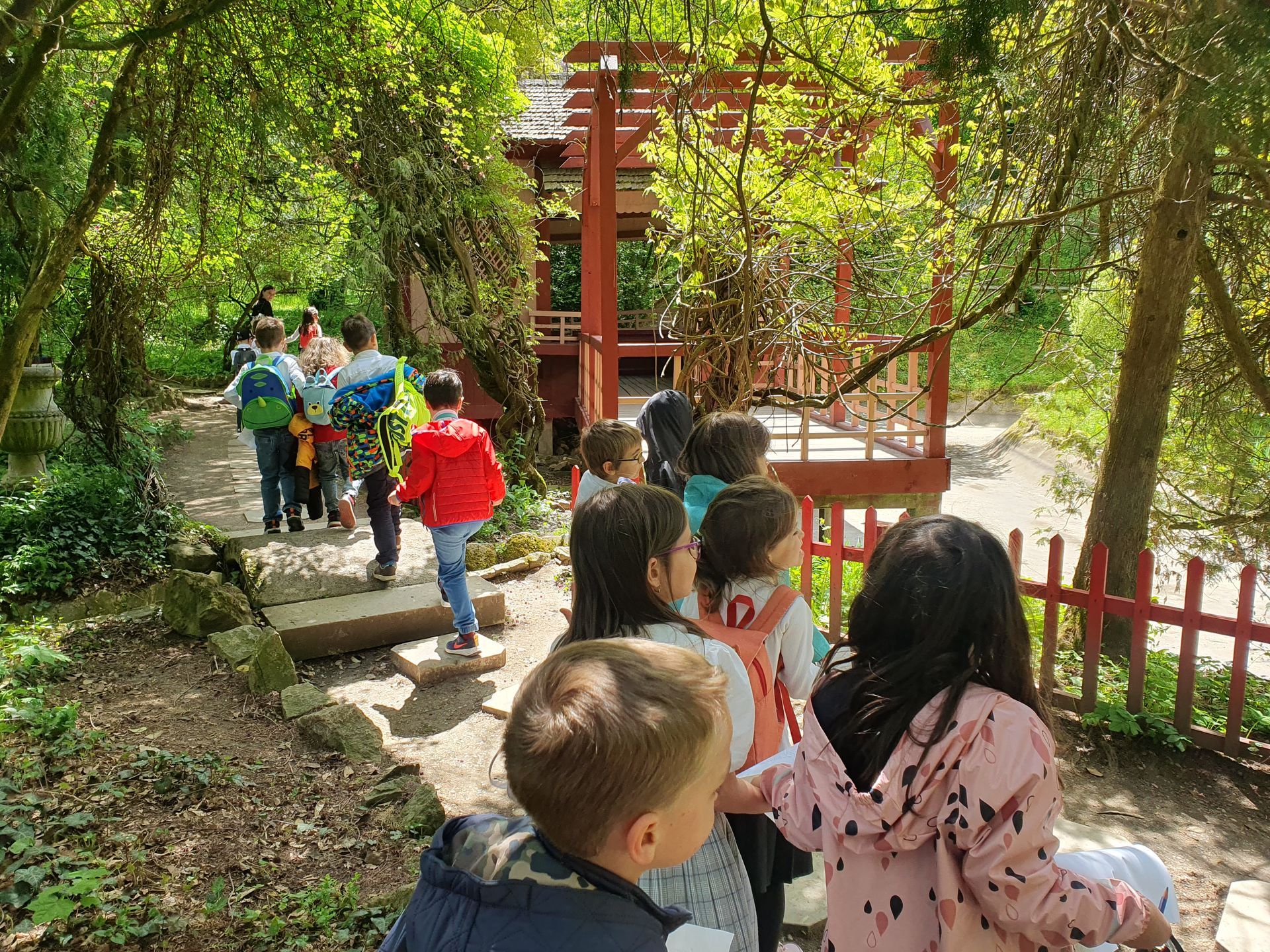 A group of children are walking down a path in the woods.