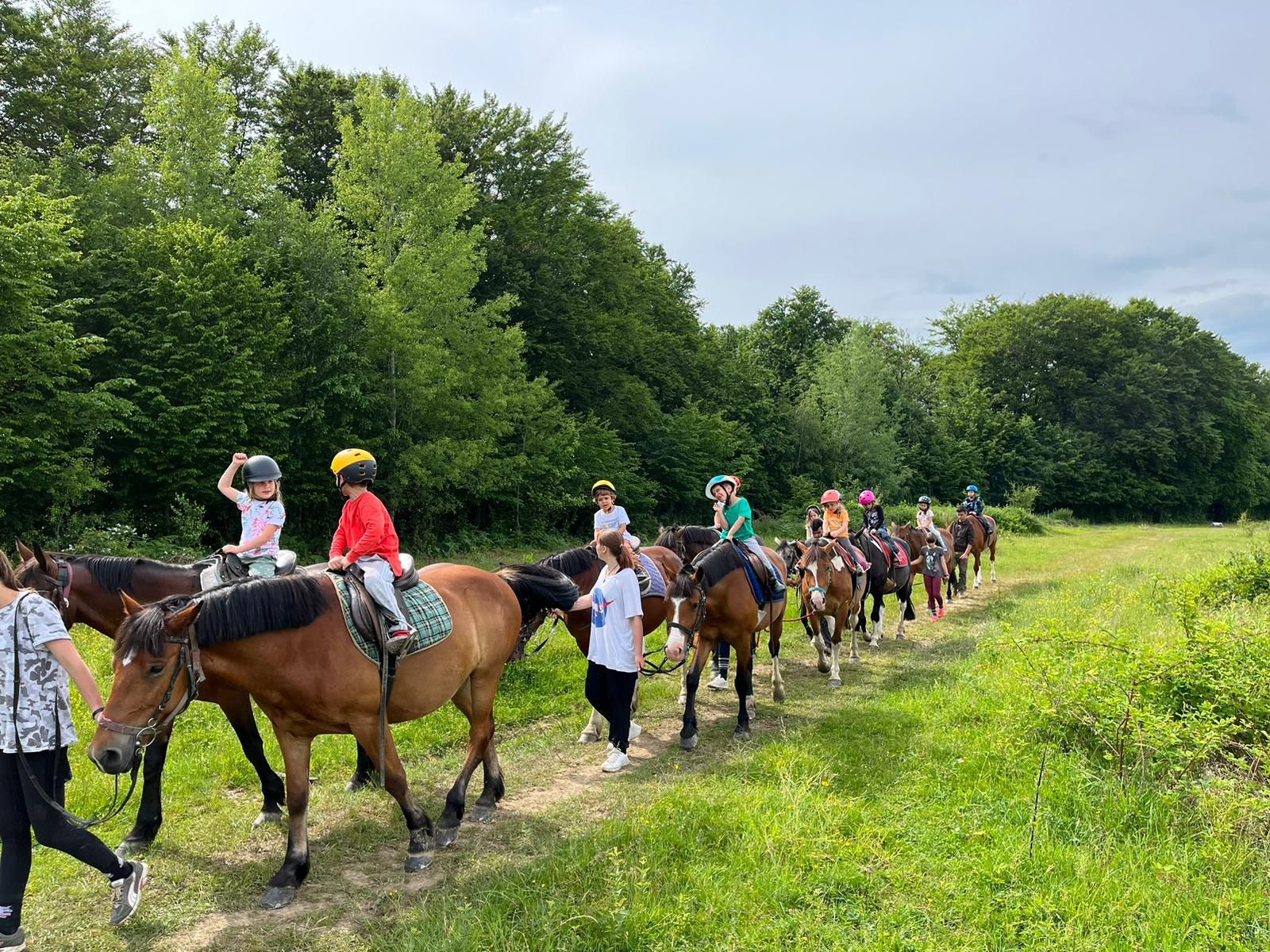 A group of people are riding horses in a field.