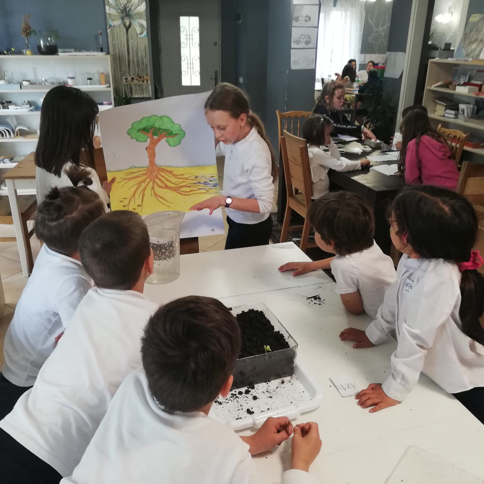 A group of children are sitting around a table looking at a drawing of a tree