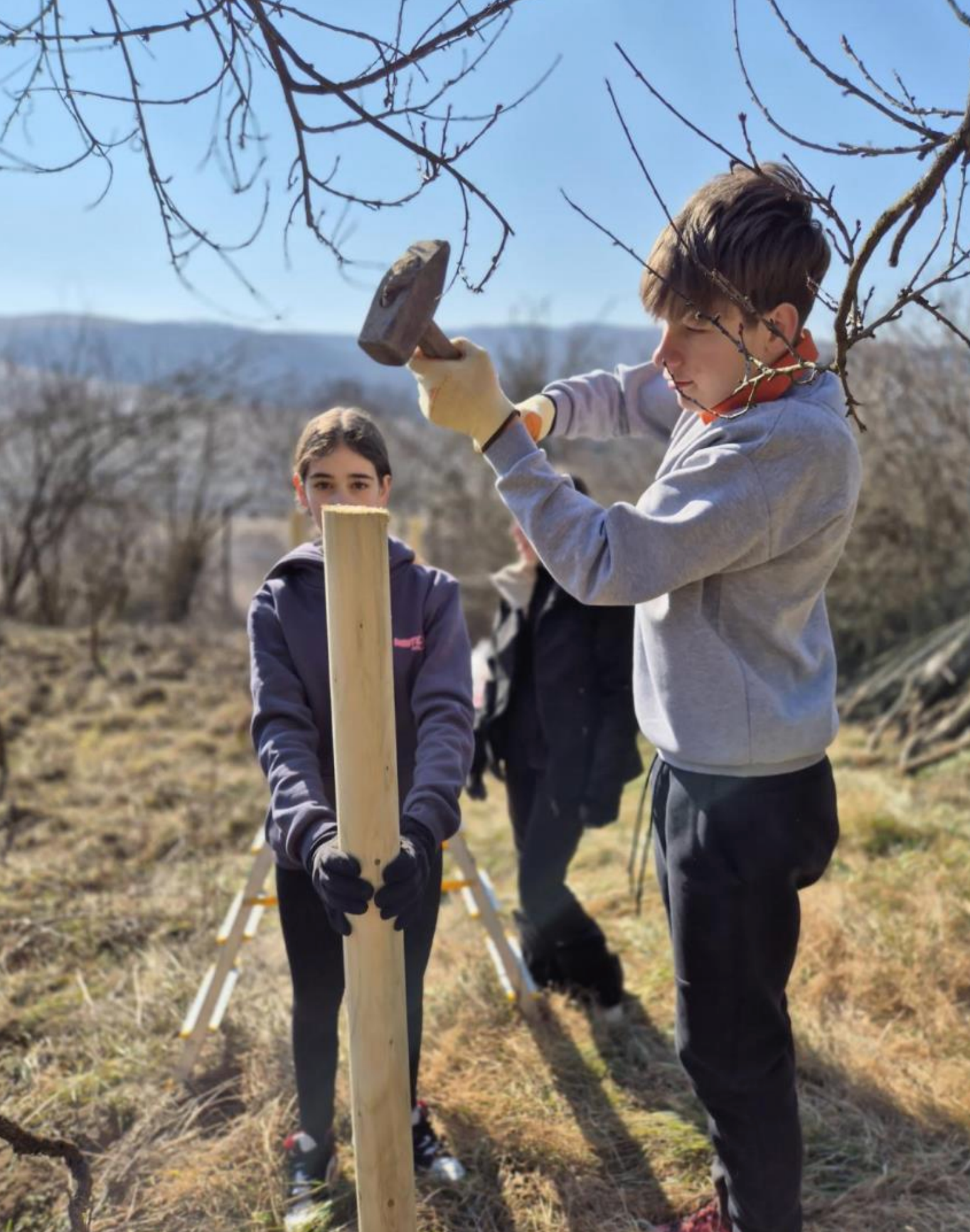 A boy is hammering a wooden post with a hammer.