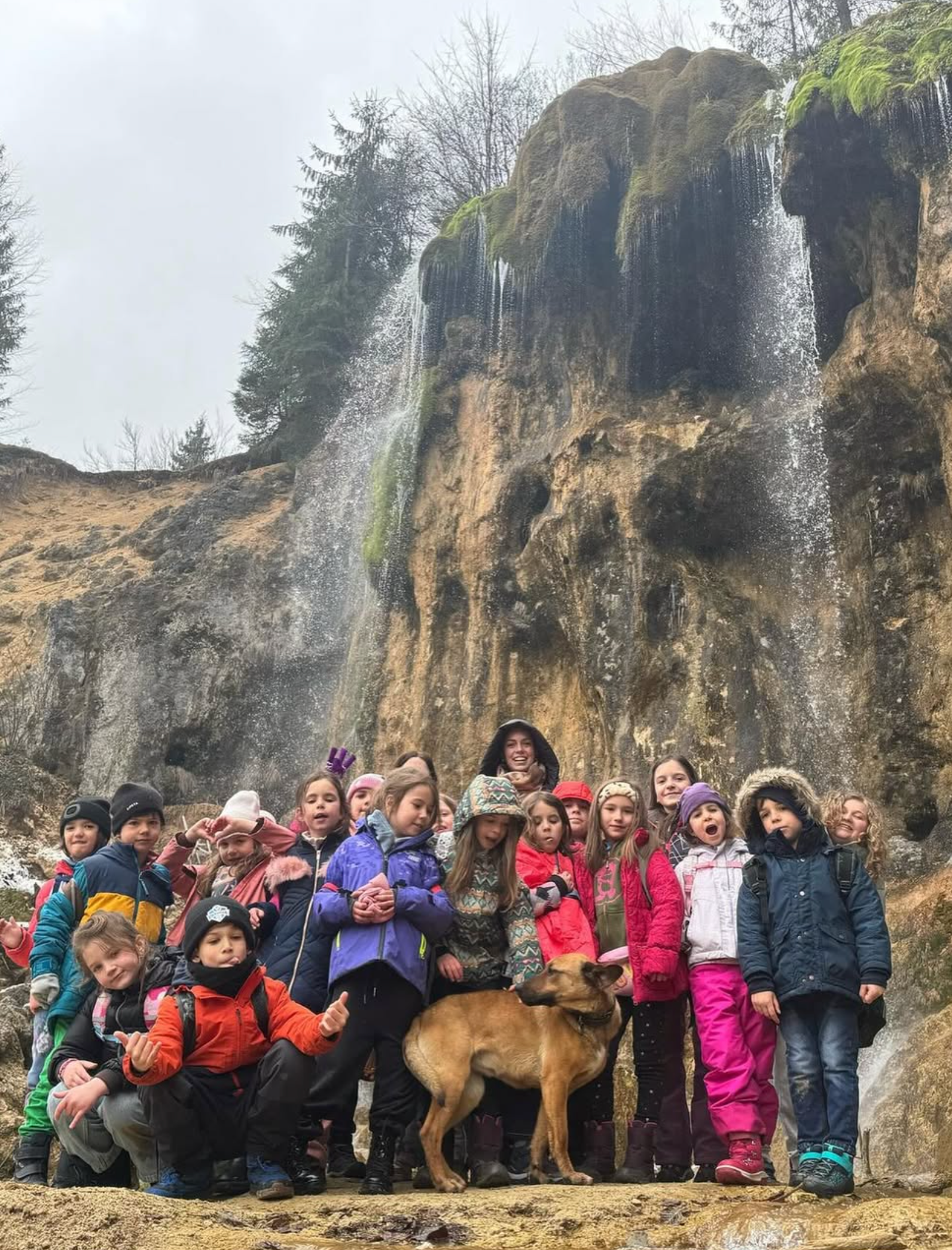 A group of children and a dog are posing for a picture in front of a waterfall.
