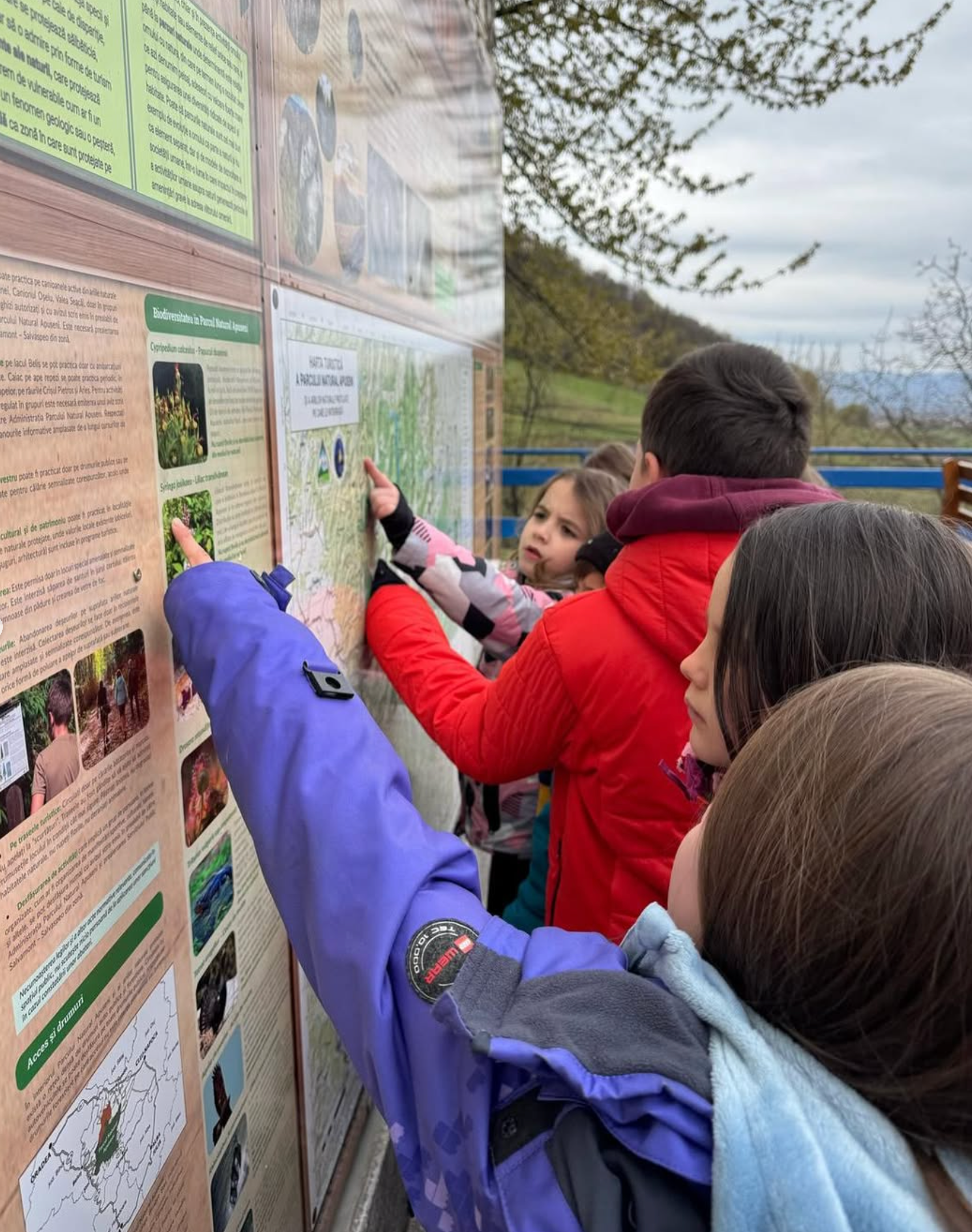 A group of people are pointing at a map on a wall.