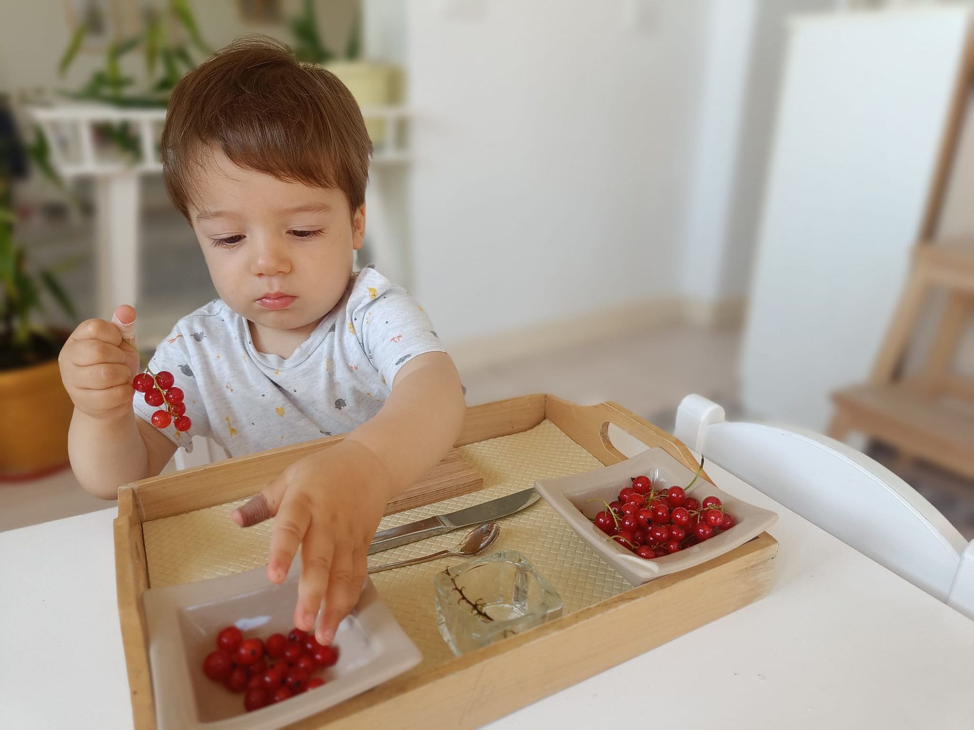 A young boy is playing with red currants on a wooden tray.
