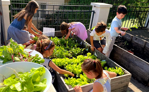 Grup de copii lucrand cu Materiale Montessori senzoriale si de viata practica la 3-6 ani la Gradinita Montessori Cluj