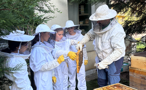 Una dintre curtile Liceului Montessori Cluj special pentru o grupa de gradinita Montessori. 