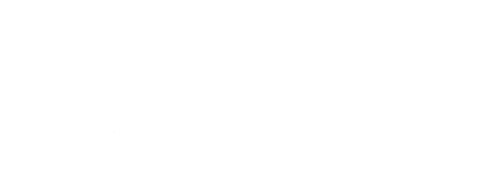 David Ferguson Photography Logo