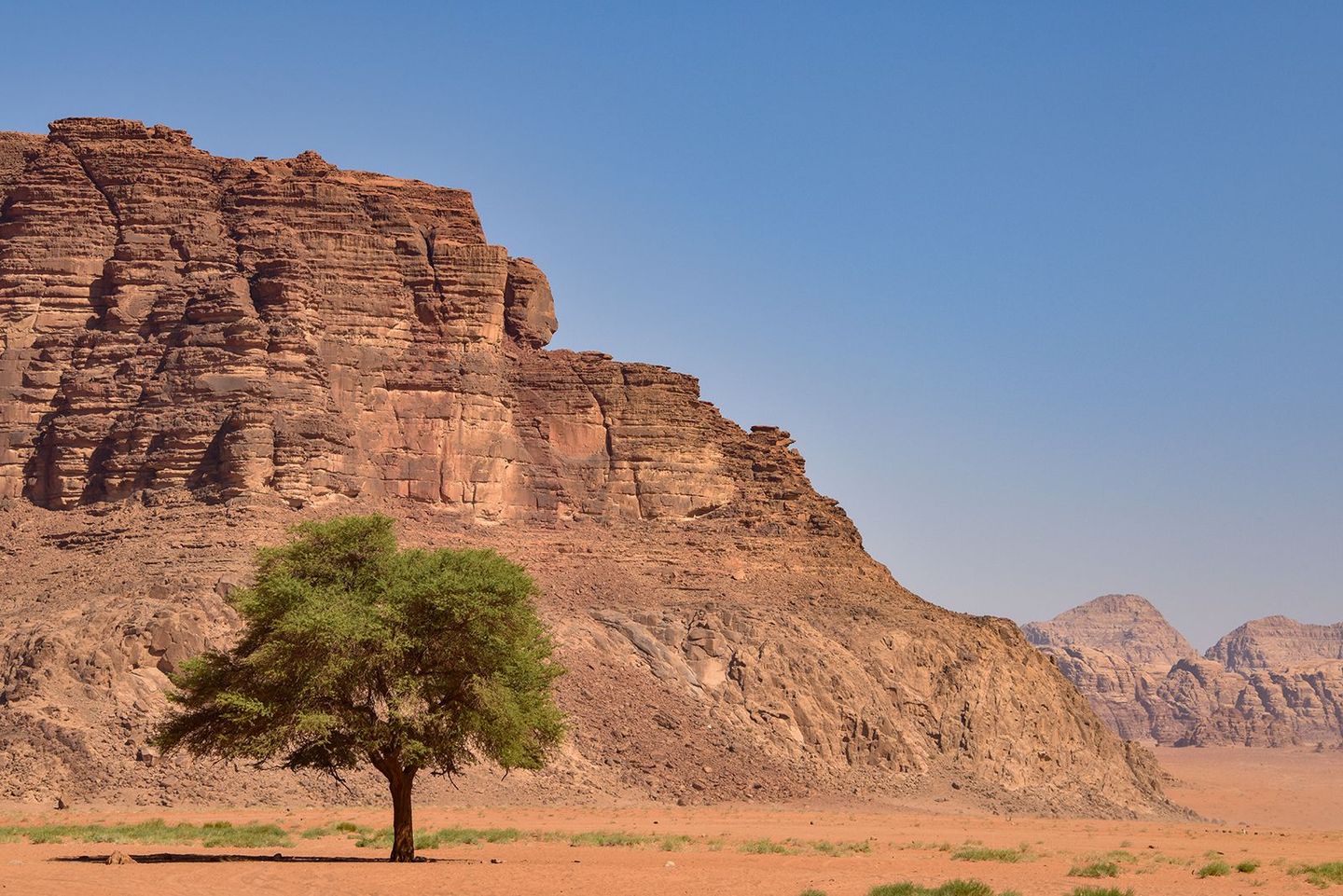 Wadi Rum Jordan Photo Gallery by David Ferguson