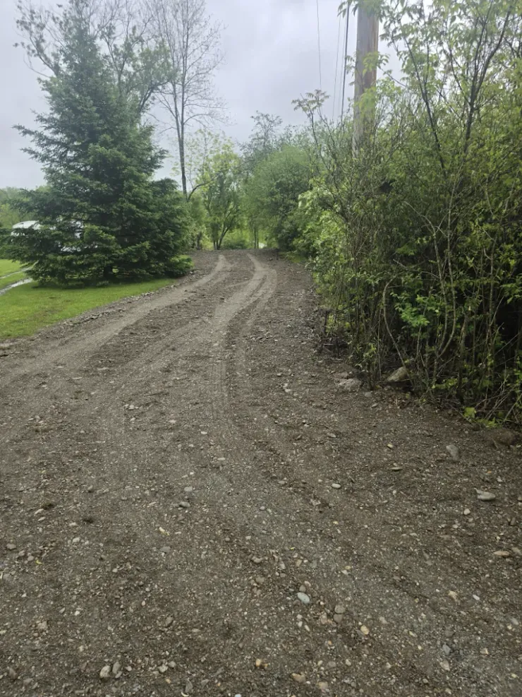 Dirt road winding through trees and bushes, overcast sky.