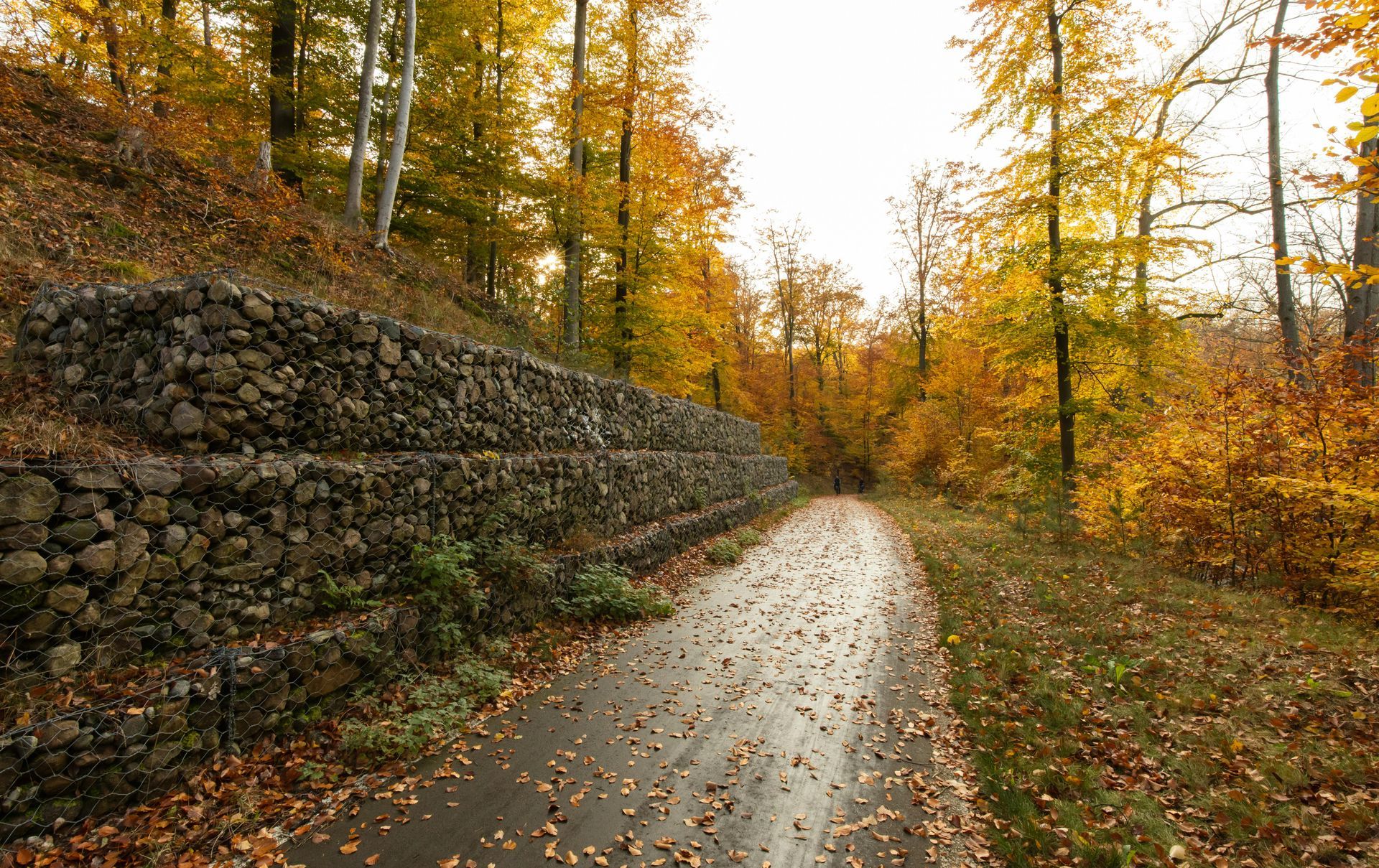 A wet, leaf-covered path winds through a fall forest beside a tall, tiered stone retaining wall.