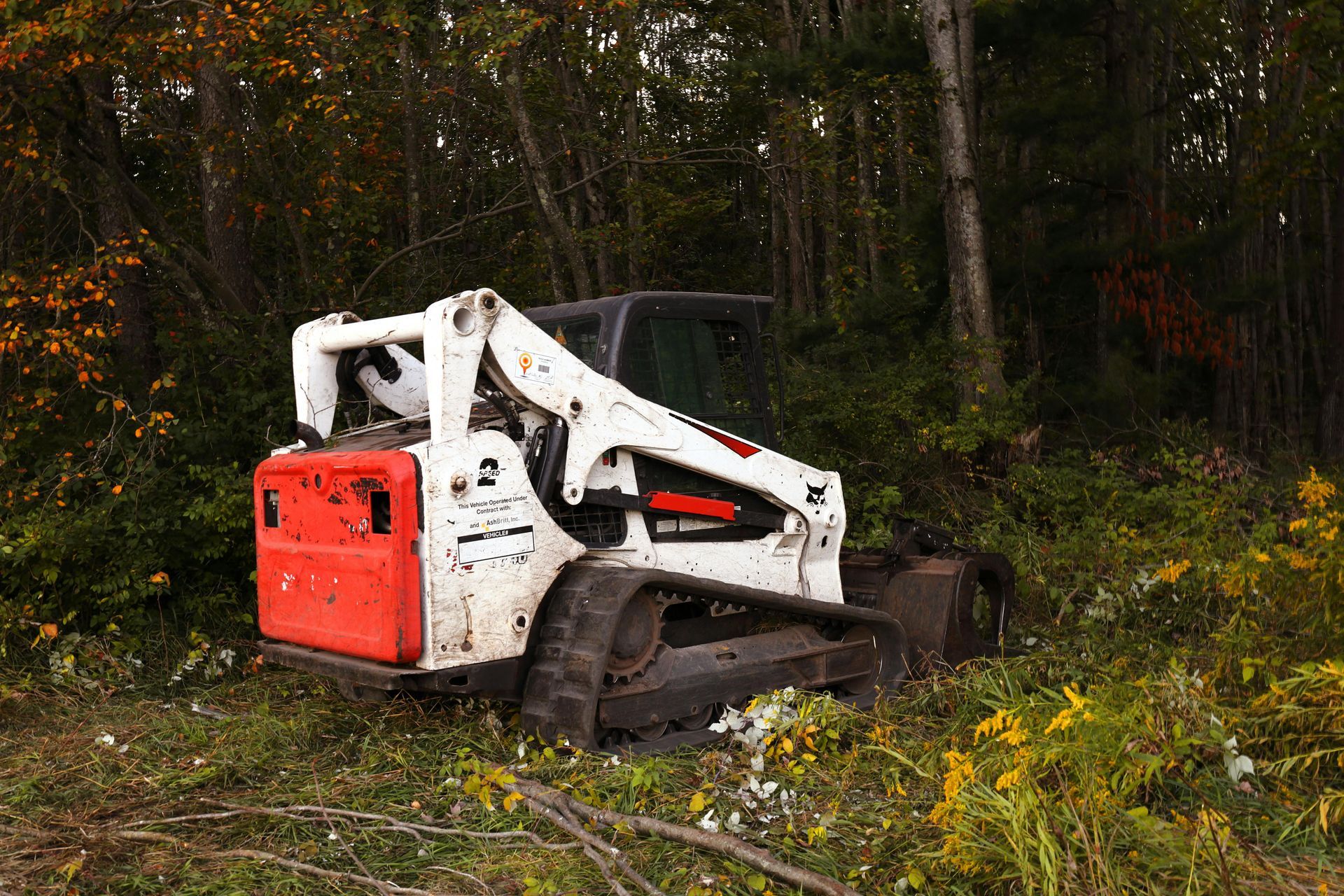 A white and orange tracked skid-steer loader parked in a wooded area with dense greenery.