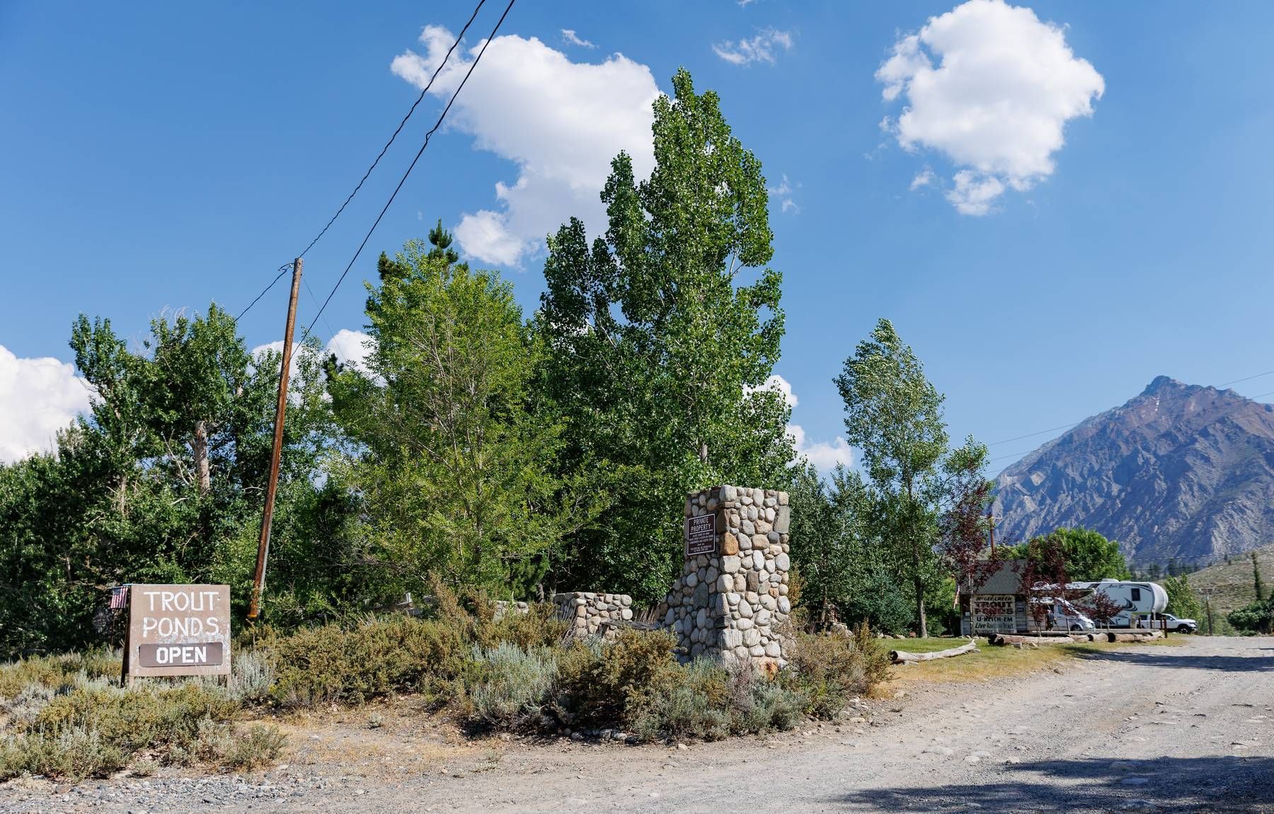 A dirt road with trees and a mountain in the background.