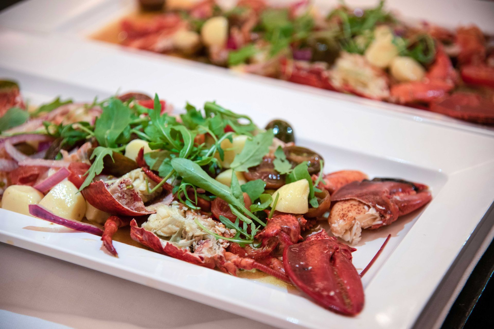 Insalata di aragosta su piatti rettangolari bianchi con verdure, pomodori e altri ingredienti.