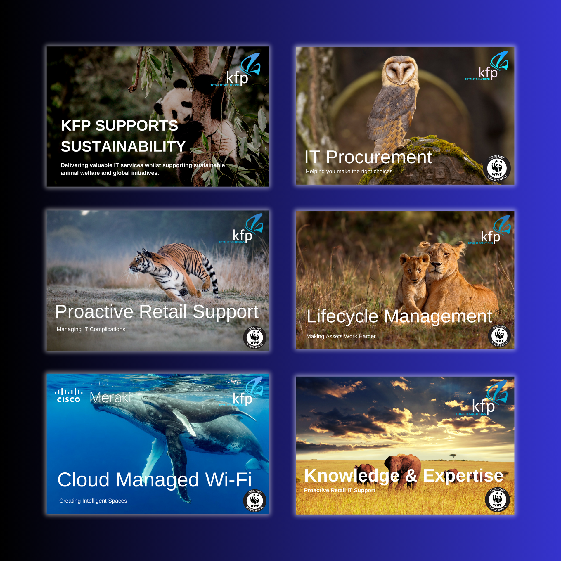 A collage of six cards with animals on them