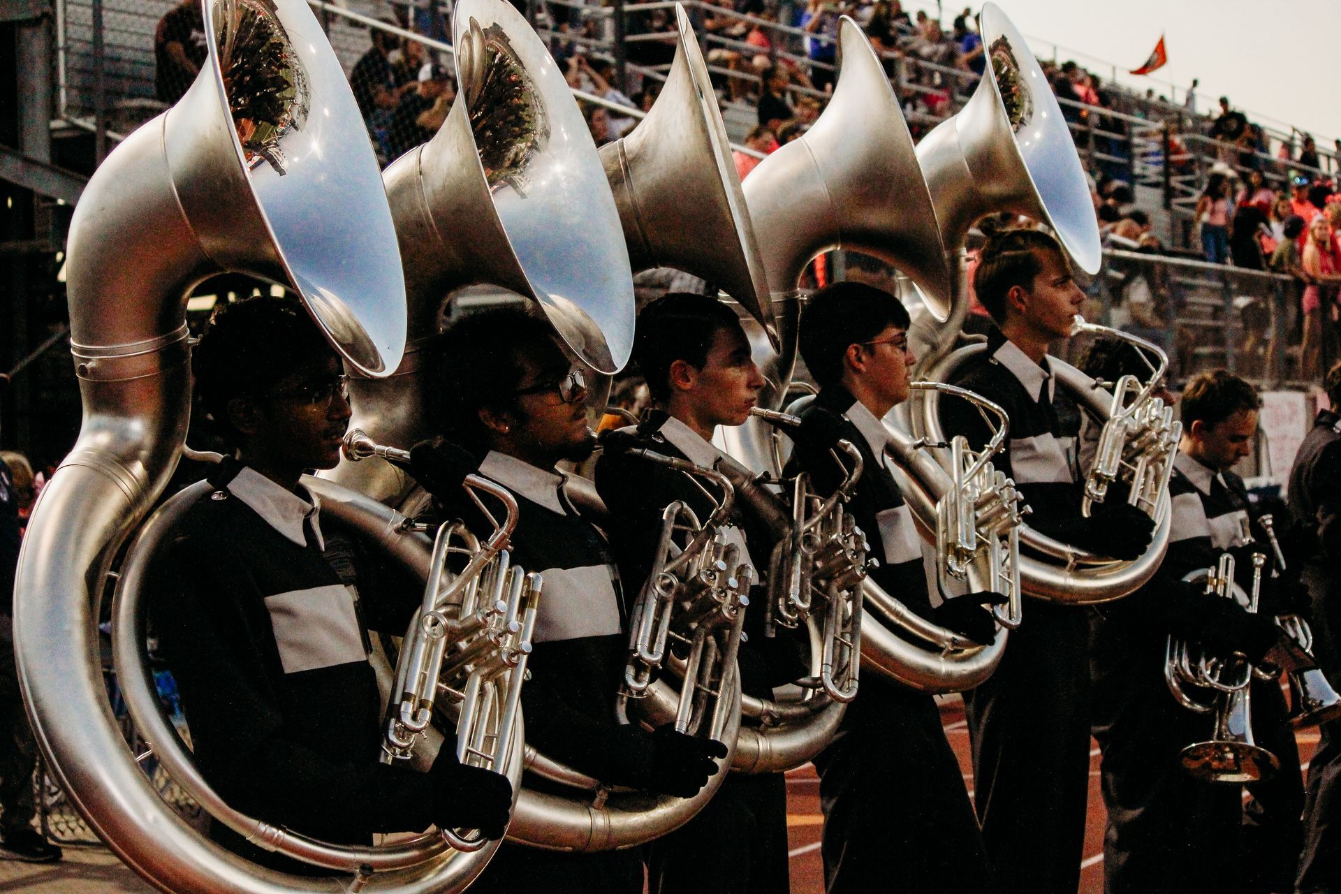 five sousaphones in a row