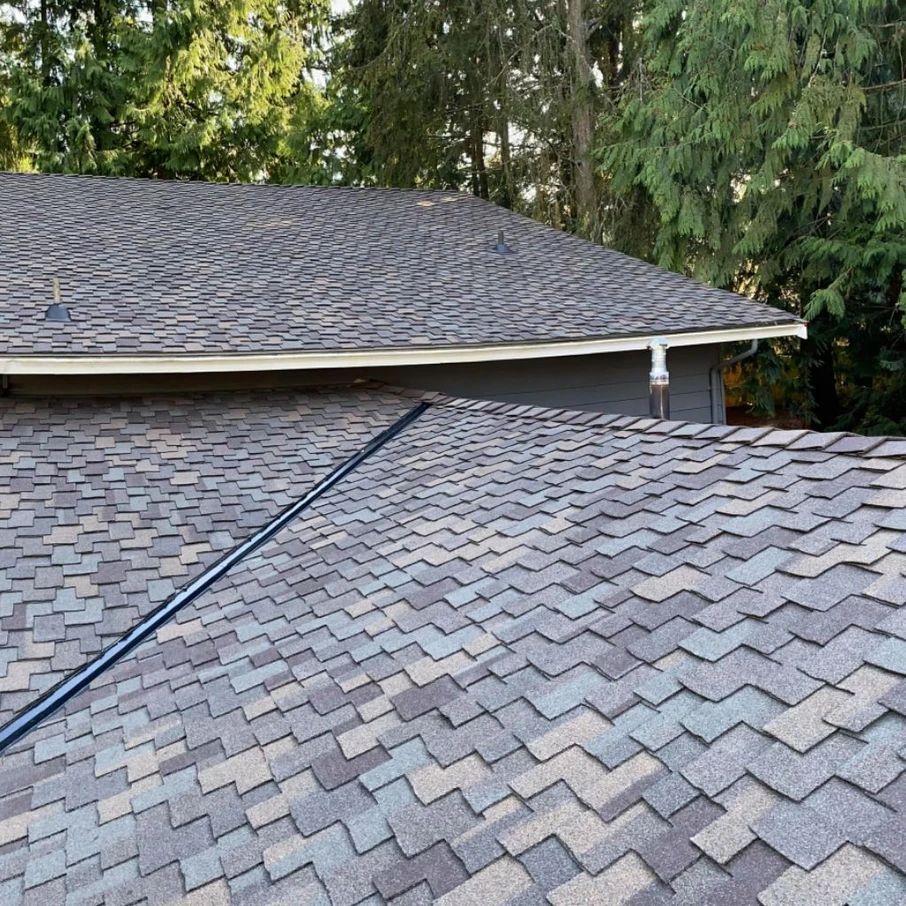 A close up of a roof with a gutter and trees in the background.