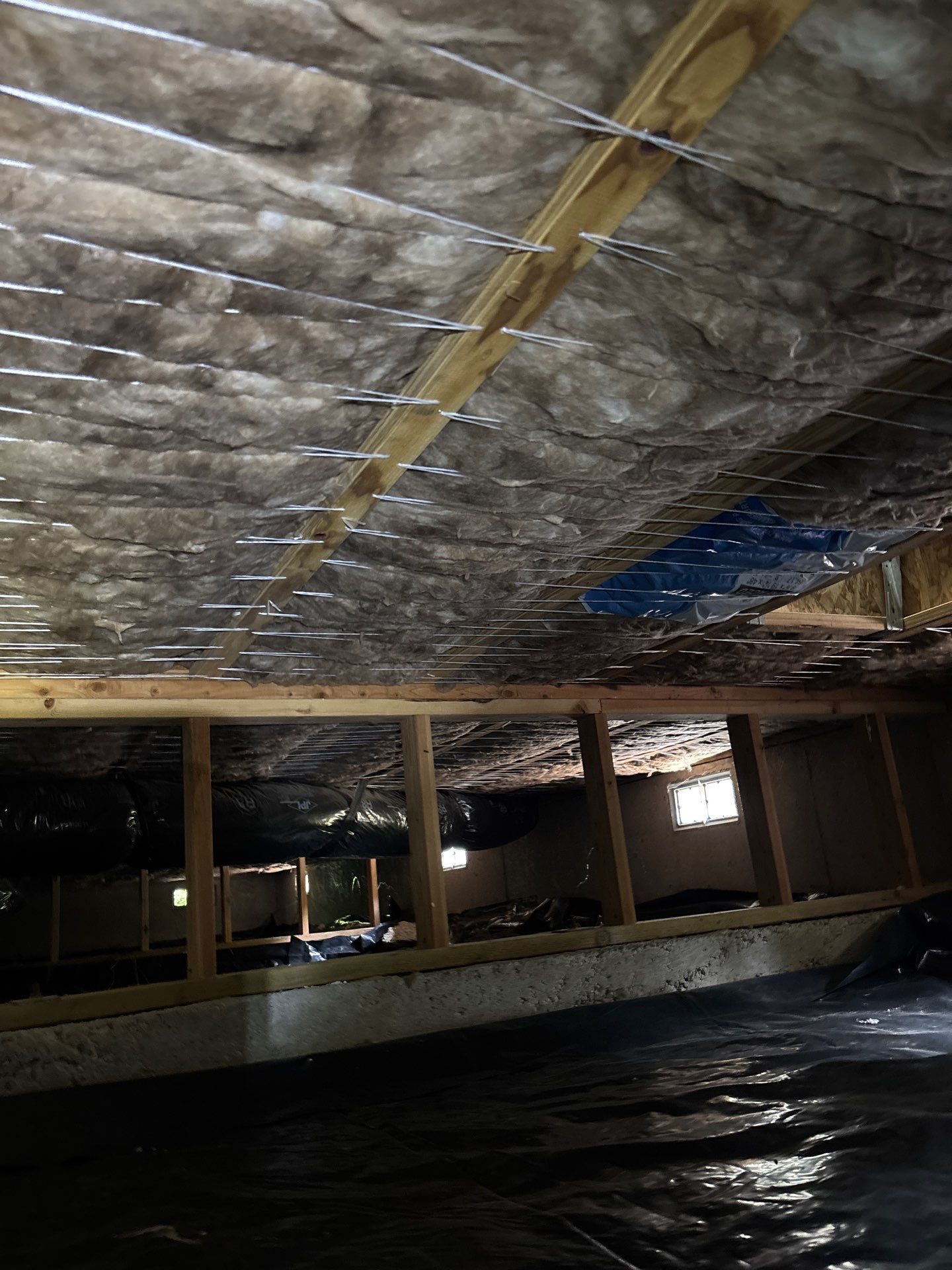 Expert inspection: Discover our turnkey solutions for crawlspaces, ensuring ease and efficiency.