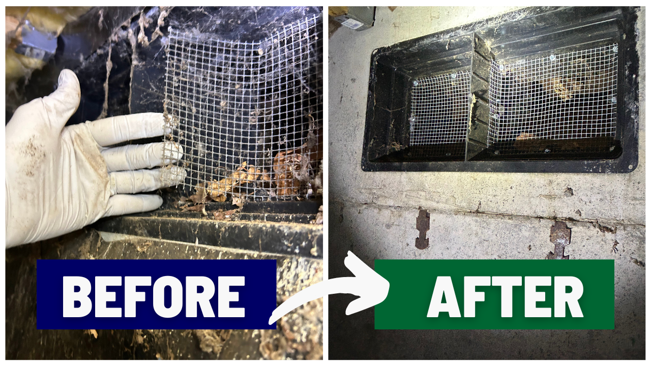 Before and after images showing Sound Crawls' animal and pest exclusion service. The before picture displays an open, vulnerable crawl space, while the after image highlights a secured area with wire mesh installed to prevent animals and pests from entering.