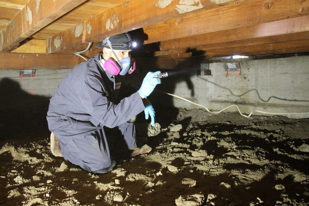Expert inspection: Discover our turnkey solutions for crawlspaces, ensuring ease and efficiency.