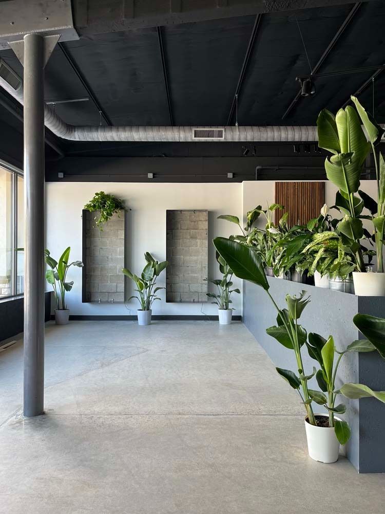 Interior with gray and white walls, exposed ceiling, concrete floor, and potted plants.