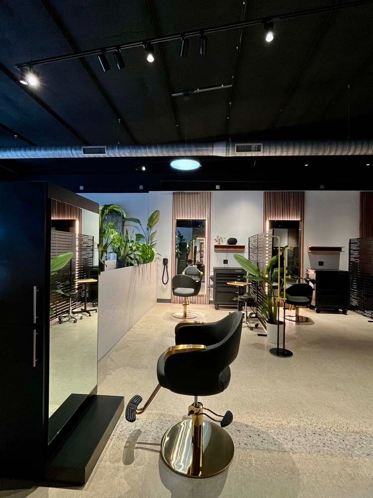 Hair salon interior with black ceiling, mirrors, styling chairs, and plants.