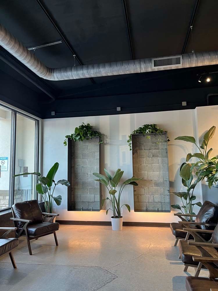 Interior with leather chairs, plants, and concrete walls, under a black ceiling.