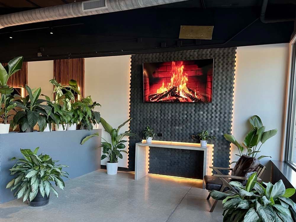 Lobby with plants, fireplace TV, and modern furniture. Black and white walls with a concrete floor.