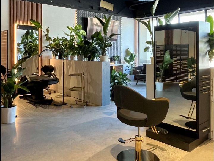 Hair salon interior with mirrors, plants, and styling stations.