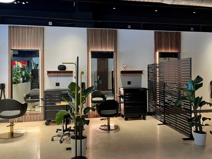 Hair salon interior with mirrors, chairs, and plants; wood and black accents.