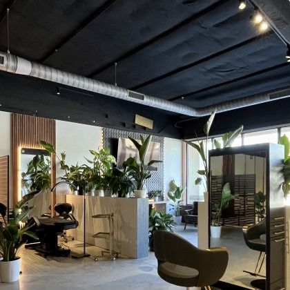 Hair salon interior with mirrors, plants, black ceiling, and styling stations.