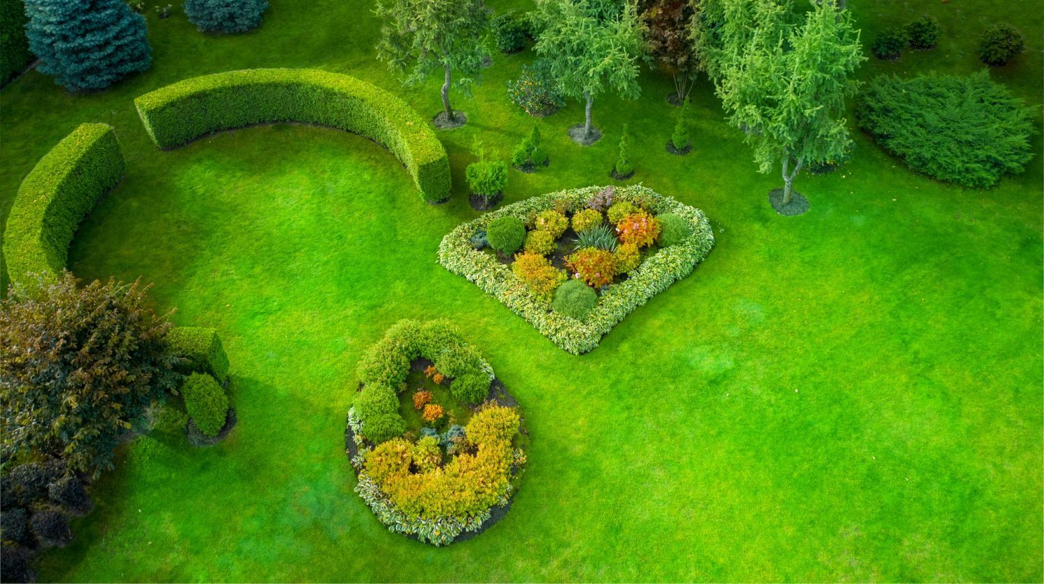 An aerial view of a lush green garden with flowers and trees.