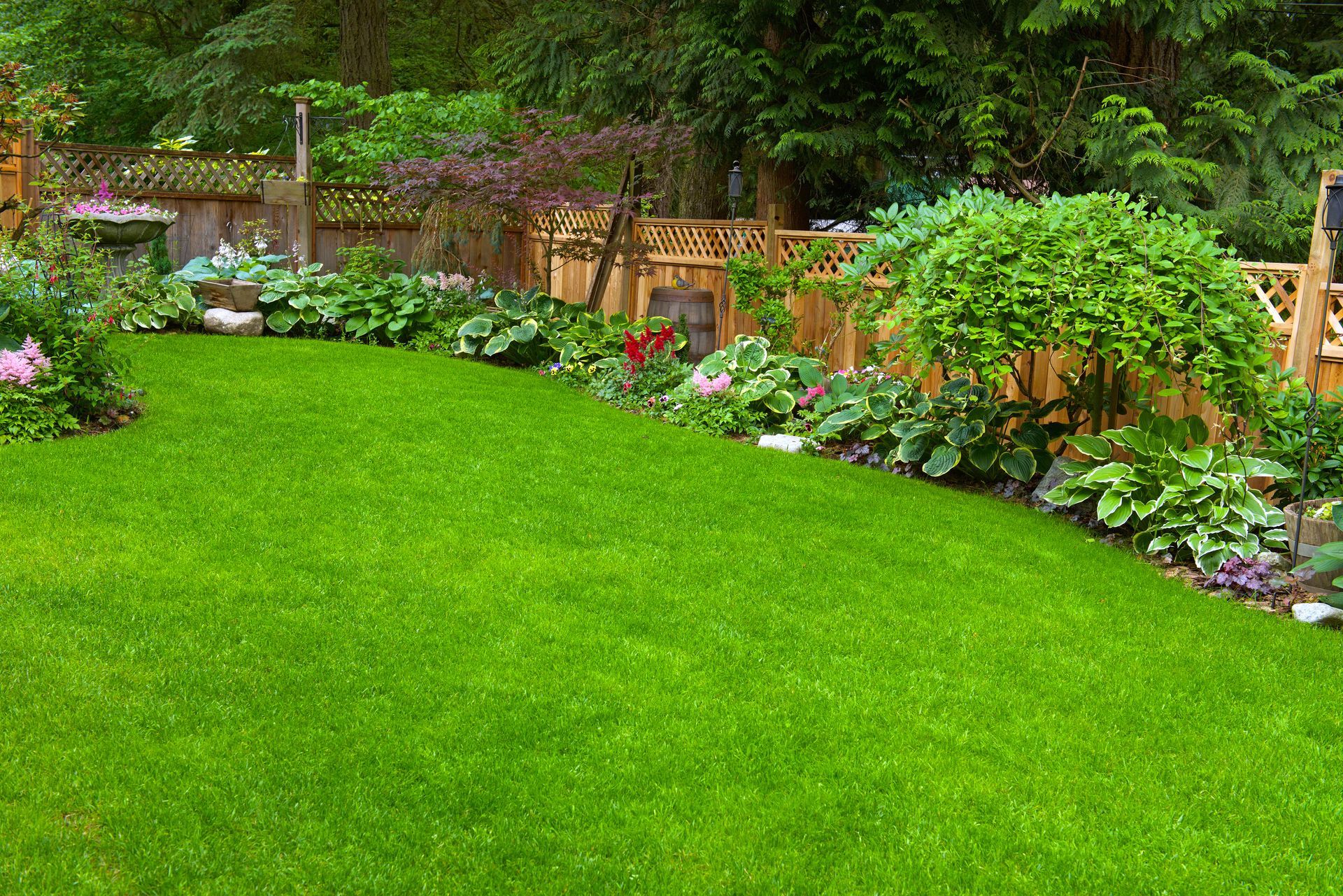 a lush green lawn in a backyard with a wooden fence and flowers .