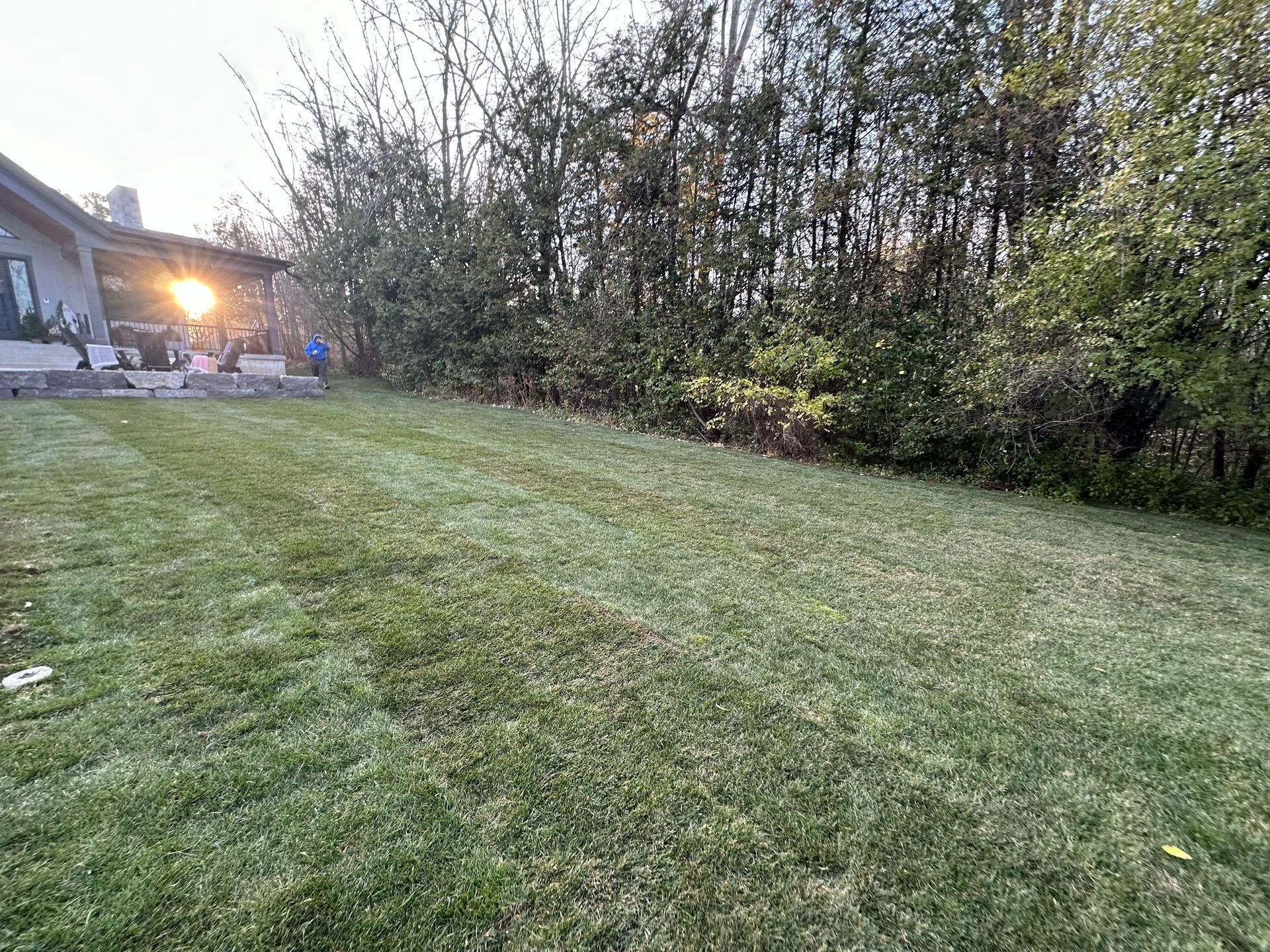 A large lush green lawn with a house in the background.