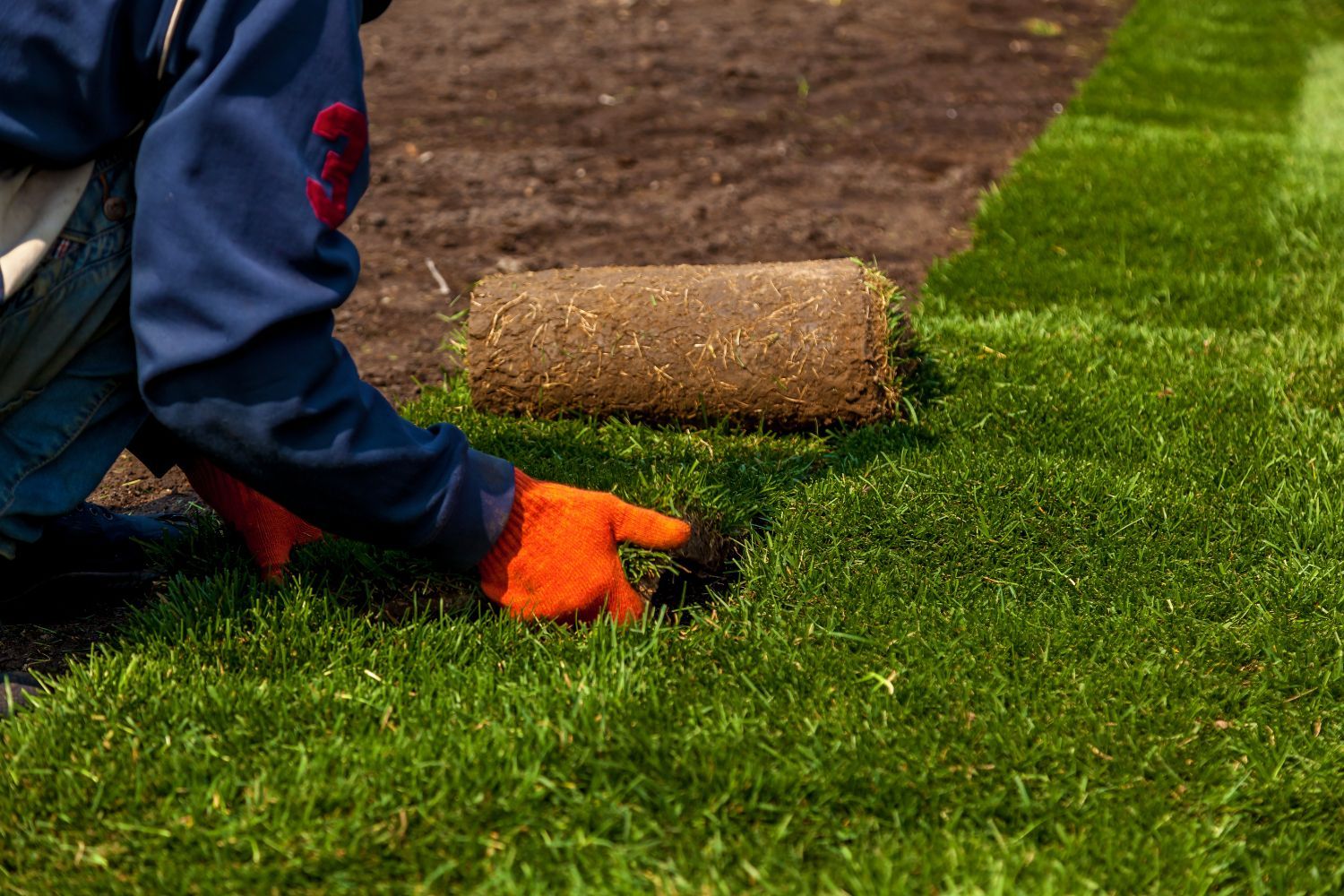 A person is laying a roll of turf on a lawn.