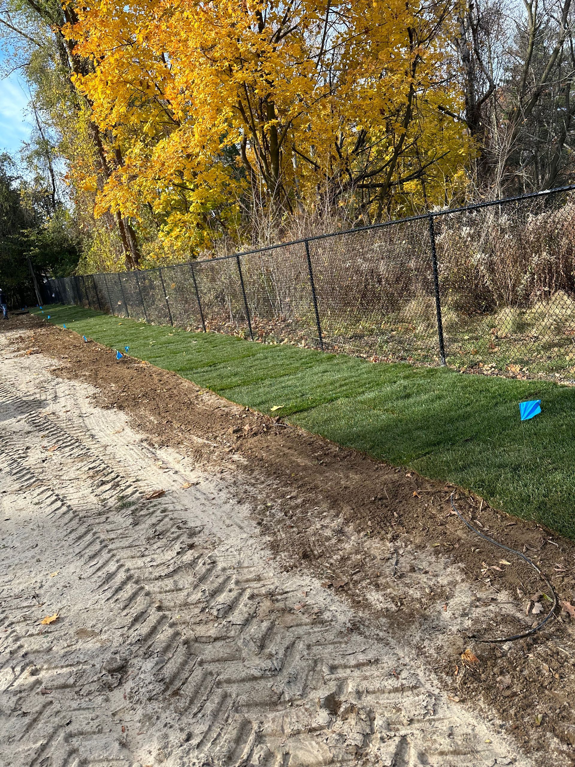 a dirt road leading to a lush green field with trees in the background .