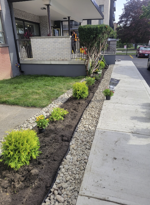 a sidewalk with a row of plants and rocks next to a house .