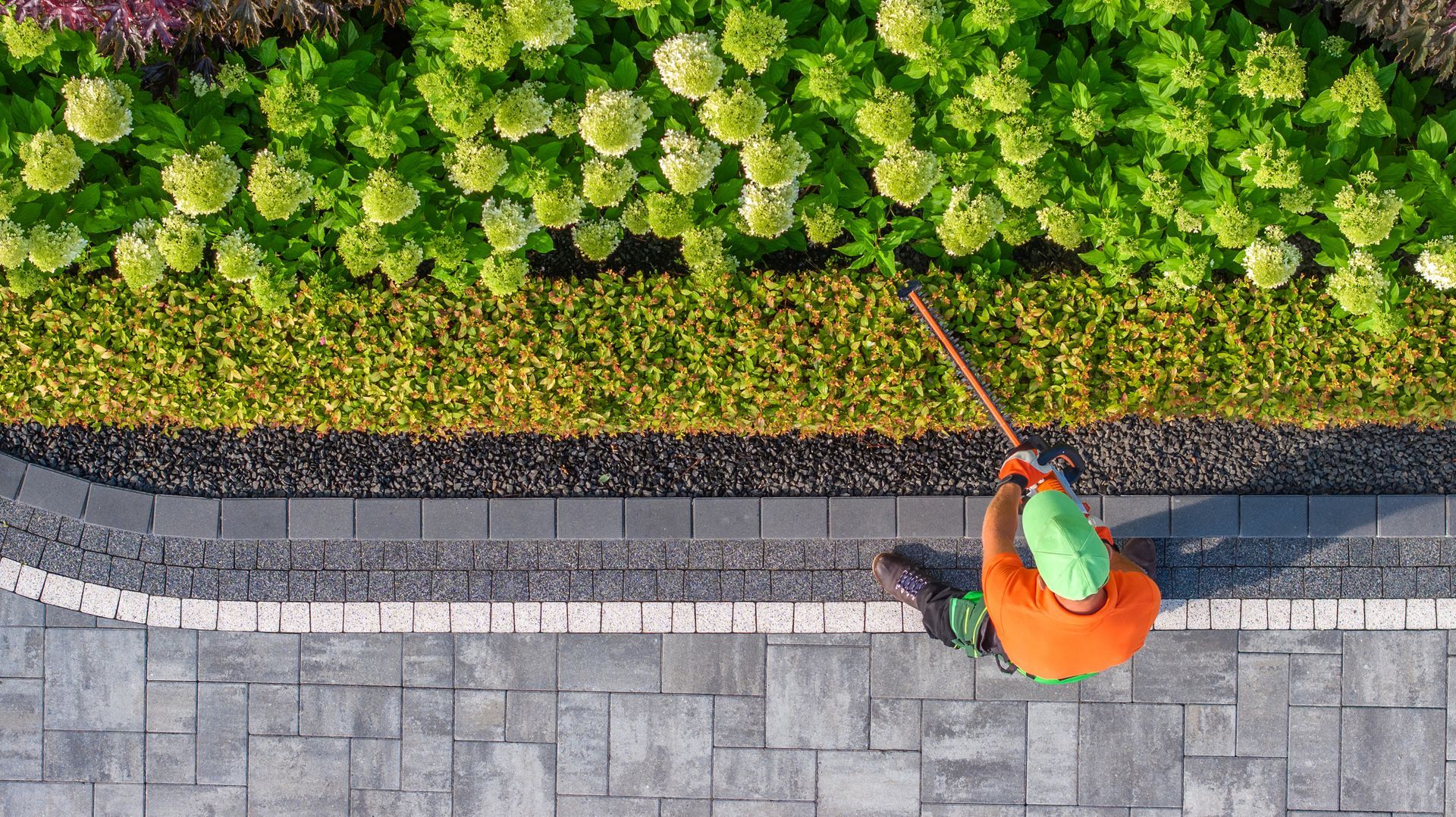 an aerial view of a man cutting a hedge with a lawn mower .