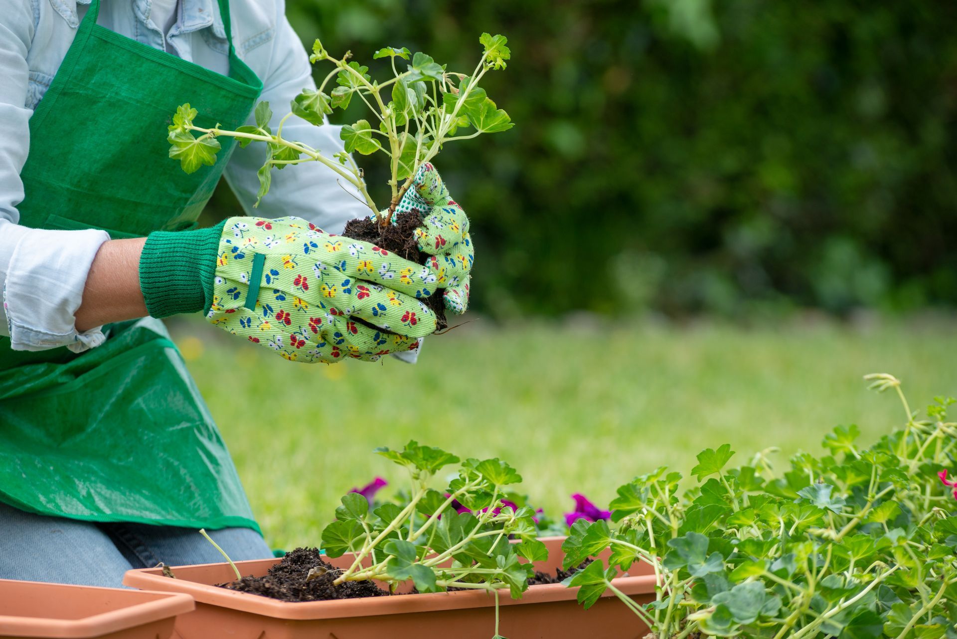 a woman is planting a plant in a pot .