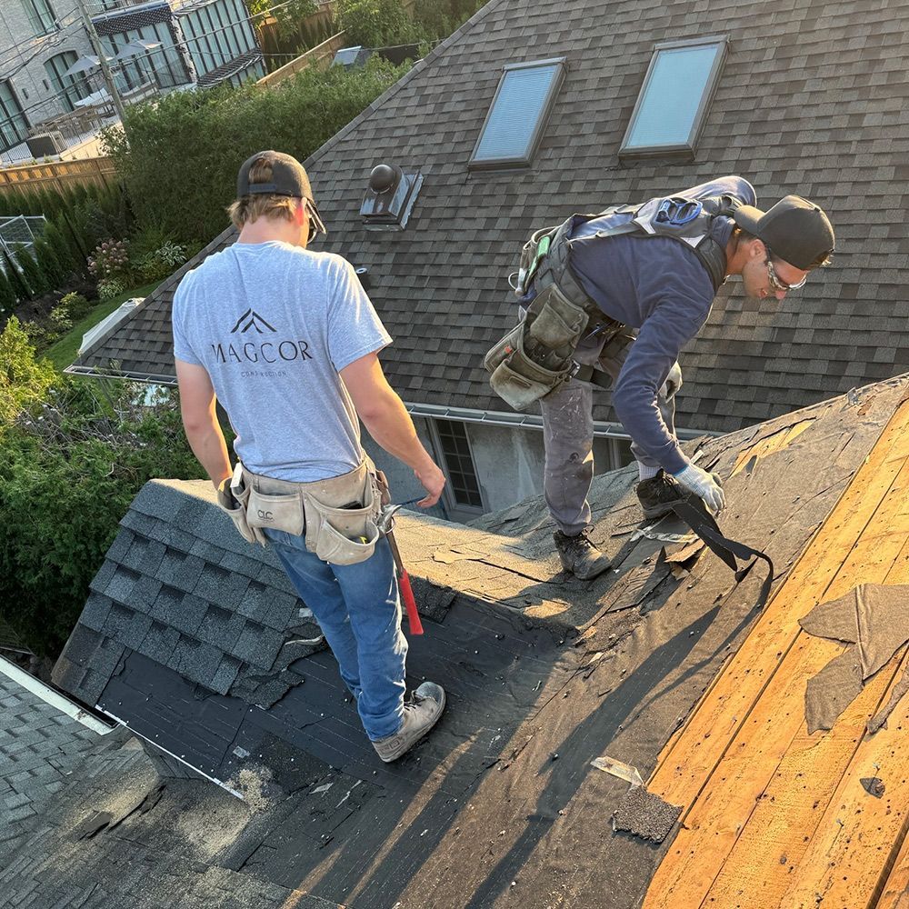 Roof Repair