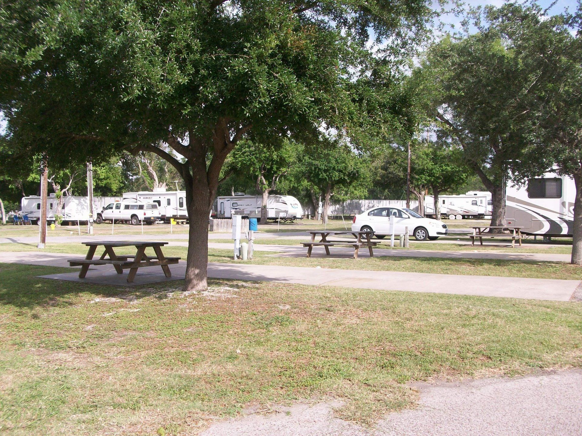 A rv park with a picnic table under a tree