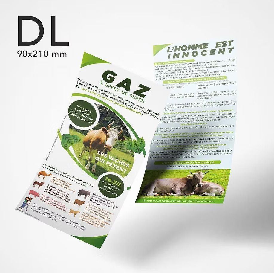 Un dépliant avec une photo de vaches dessus