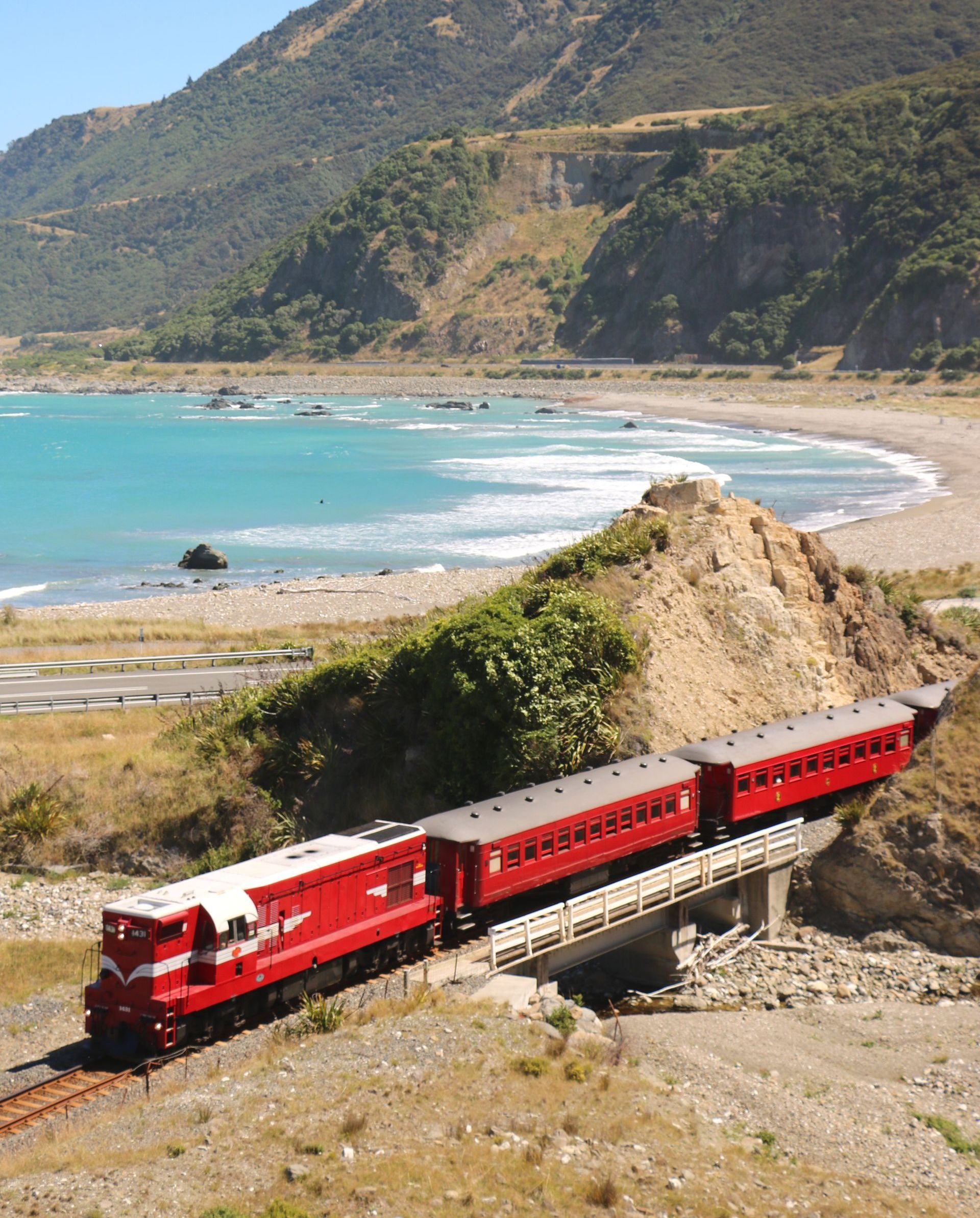The Whale Train experience that Journeys from Christchurch through Kaikoura and back to Christchurch